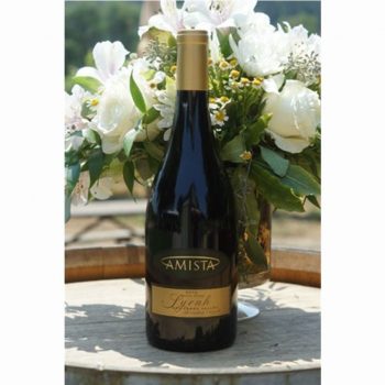 Amista Syrah Dry Creek Valley 2014 | Hermitage-like richness & Unbeatable Value | Pairs w/Red & White Meat, Vegetables, Hard Cheese | Serve 60-65°F | Drink now thru 2020 | 92WA | Red Wine| Syrah | Sonoma, CA | Winemaker Ashley Herzberg
